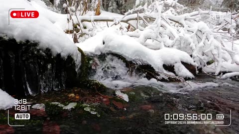 Nature Therapy | Asmr Video No. 072🌈