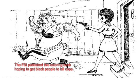 Dallas Shooting Fireworks Show - You Are Being Set Up - FEMA 2.wmv