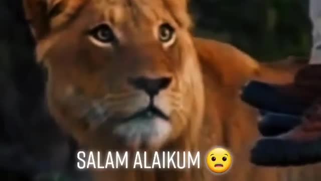 Funny Moment🤣😂