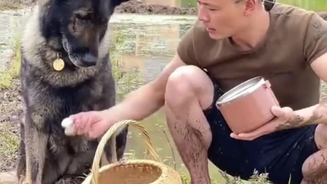 DOG HELPING PEOPLE (AMAZING DOG)