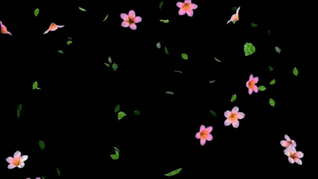 Tinku-Editing-__-flower-leaf-effect-video-free-__-background-flower-effects-video-free360P