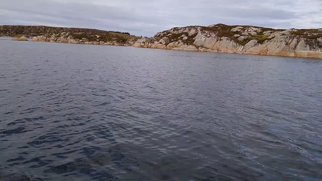 Fiskekutter fra Hawsiden Frøya