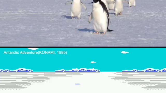 Antarctic Adventure game and Adélie penguins in the sea ice.