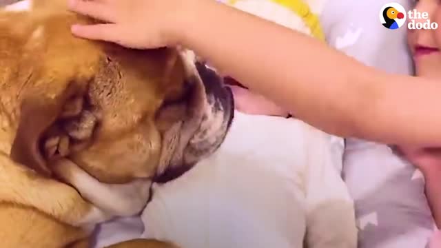 Little Girl Grows Up With Dog BFF — And Introduces Him To Her New Brother | The Dodo Soulmates