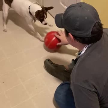 Princess impersonates Air Bud