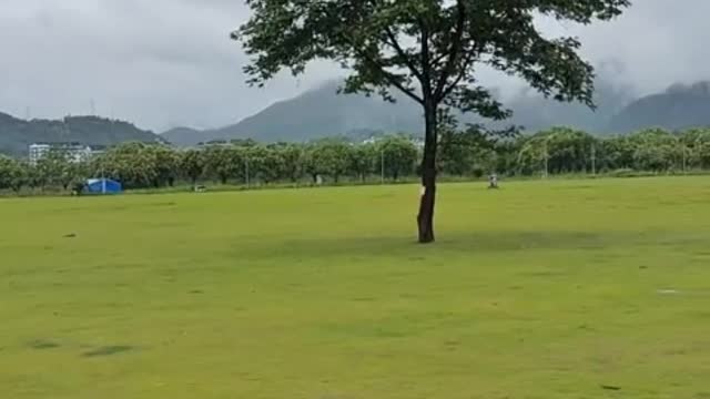 The scenery is so good, it makes people feel relaxed