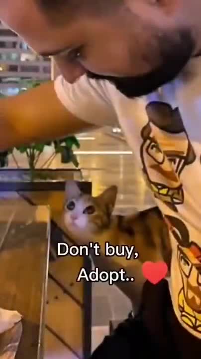 I can't stop laughing