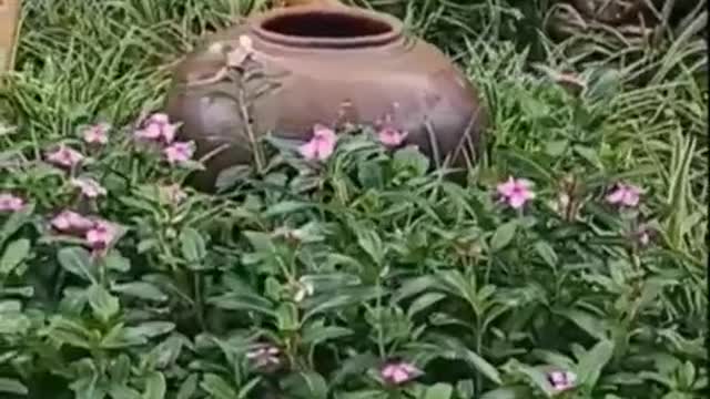 Unique man-made beauty in the park