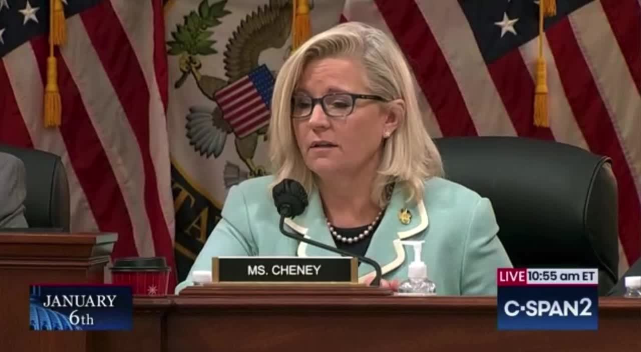 Liz Cheney claims that 2000 Mules has been debunked 😂
