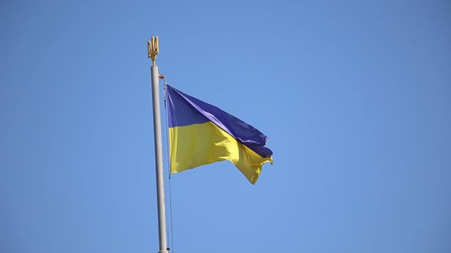 Ukraine Flag