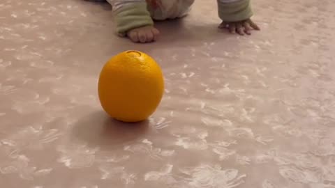 Baby first crowling