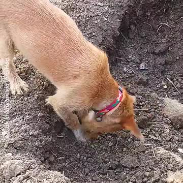 Final goodbye from a friend