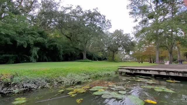 Living on the Abita River