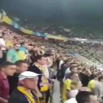 They say they are not nazis