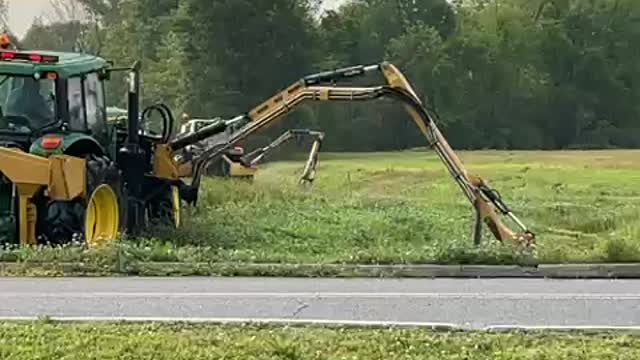 THE EARTH IS A SINGLE ORGANISMS