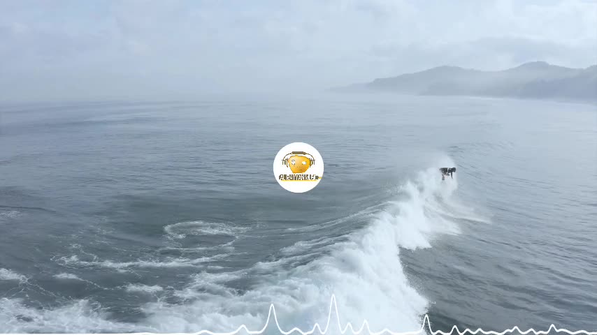 DayFox - Riding The Wave