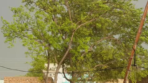 A Pleasant day in my Life | Awesome Weather