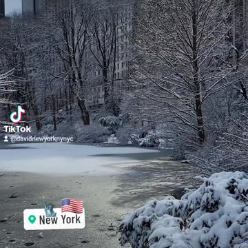 New York City Manhattan America USA Central Park 5th Avenue Street