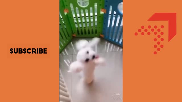 Let's dance!!