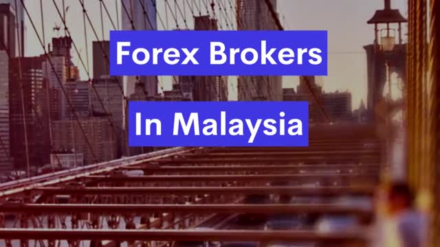 Top Paypal Forex Brokers In Malaysia In 2022