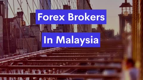 Top Paypal Forex Brokers In Malaysia In 2022