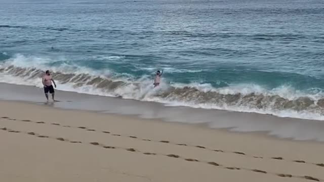 This is why you DO NOT swim in CABO