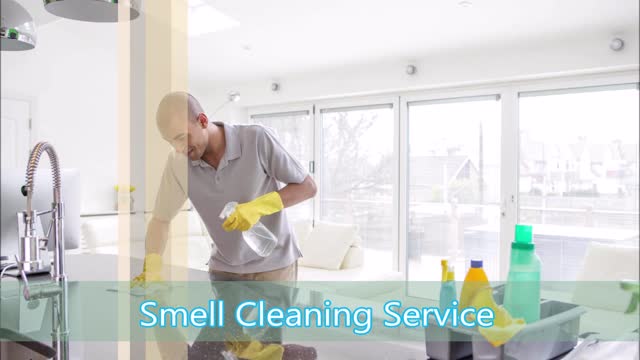 Smell Cleaning Service - (978) 291-4303