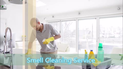 Smell Cleaning Service - (978) 291-4303