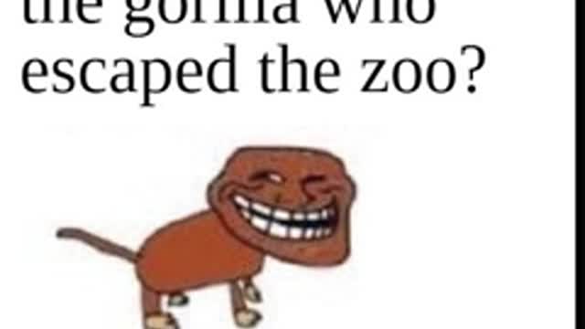 Gorilla who escaped the zoo - Discord Memes