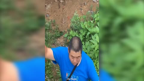 Best Funny Videos