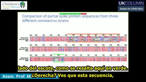 Día uno T1 - 1 Orígenes del SARS-CoV-2 - Michael Palmer