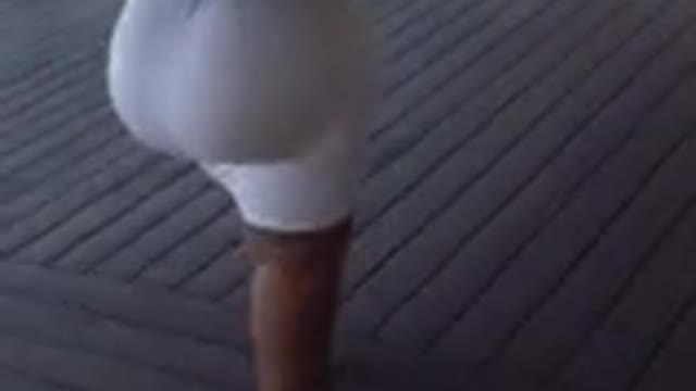 hot woman walking in