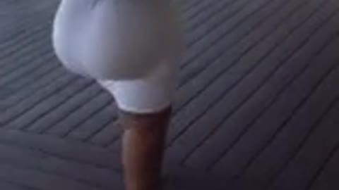 hot woman walking in