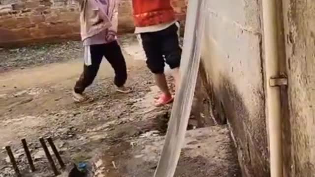 Shorts 7