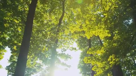 Relaxing Music for the Body and Spirit