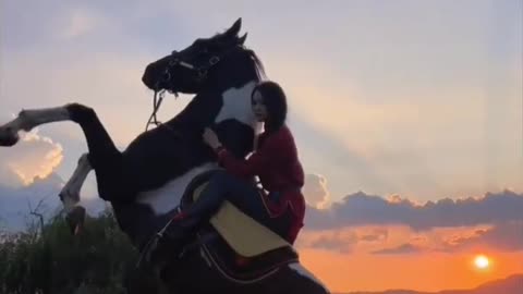 horses and beauties