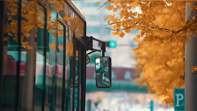 One autumn afternoon