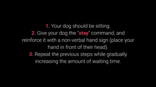 How To Train Your Puppy | Dog Training videos