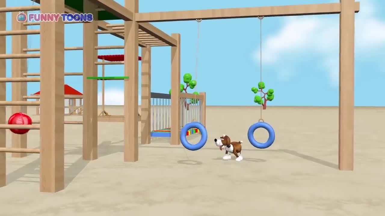 Adventure cat and dog playground us