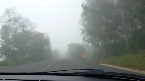 foggy forest camera car