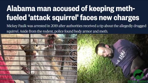 The Eden Extra you missed