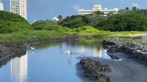 Ensenada de El Laguito