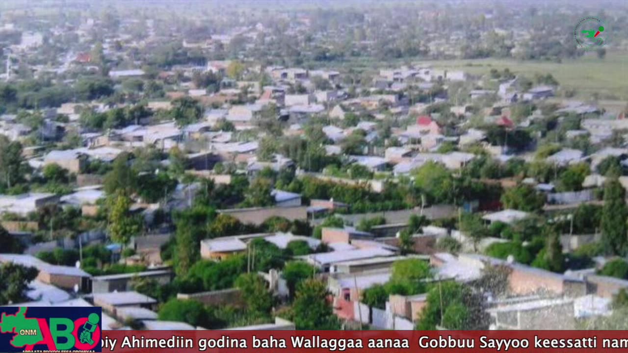 Oduu Waaree ONM-ABO Bitootessa 19-2024 itti Dhiyaadhaa!