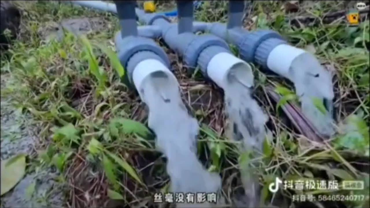 如果这个是真的定价200或300块钱每年不知道是否能赚几十万?