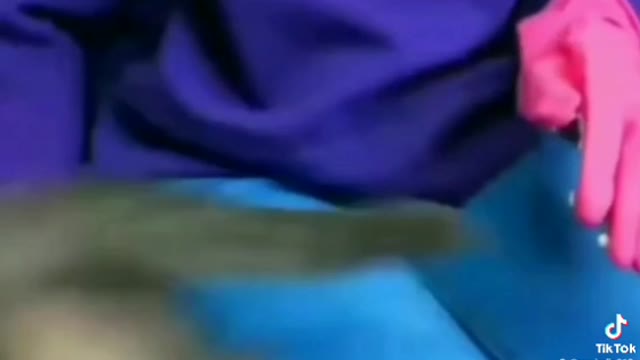 DIY FOR PETS