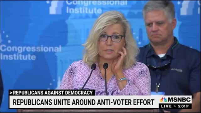 GOP REPUBLICANS UNITE AROUND ANTI-VOTER EFFORT