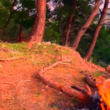 Natural cooking in natural life, best recipes, food, eat, eating, cooking skills, how to cook #41