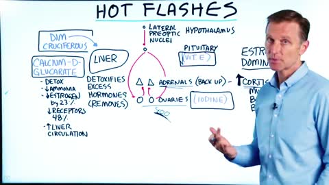 DrBerg-The Other Causes and Remedies For Hot Flashes at Menopause