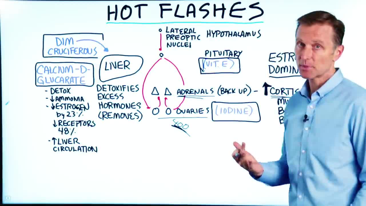 DrBerg-The Other Causes and Remedies For Hot Flashes at Menopause
