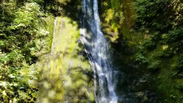 Natural view for relaxing